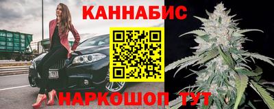 дживик Моздок