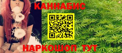 дживик Моздок