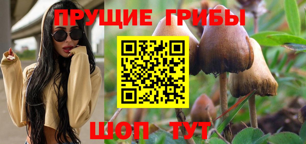 купить   Вход с VPN  Новокузнецк  Галлюциногенные грибы Psilocybe 